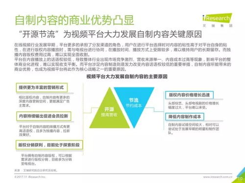 2017年中國網絡自制內容行業研究報告 數字內容制作服務的崛起與變革